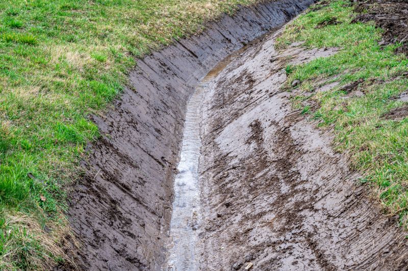 Professional Drainage Inspection