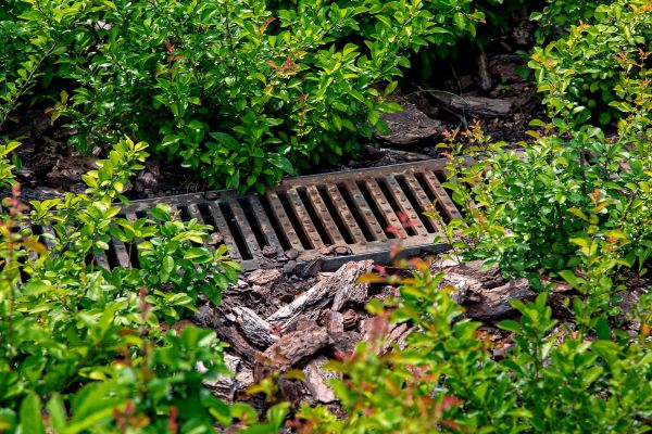 Cost of Underground Drainage Service in Indianapolis