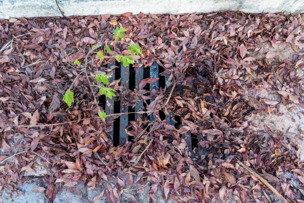 Cost of Yard Drain Unclogging in Indianapolis