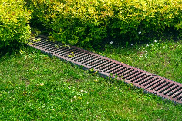 Cost of Lawn Drainage in Indianapolis