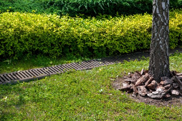 Cost of Residential Landscape Drainage in Indianapolis
