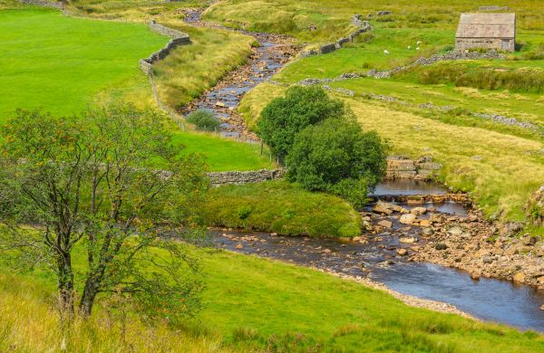 Cost of Swale Repair in Indianapolis
